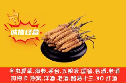 南昌市西湖回收冬虫夏草